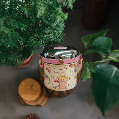 Get The Pong presents the Hello Kitty x Camel Tiffin 50: a 0.5L insulated stainless steel food jar.